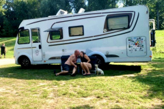 Etrusco 7400 Vollinetegrierter  auf Fiat Basis