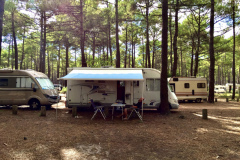 Frankia Vollinetgrierter auf Fiat Basis