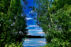 25CD1F51-9857-441D-AA77-21DA5887E0F72021-07-11-23.12.27-1