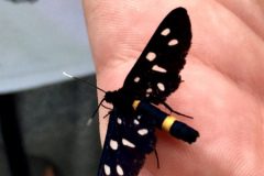 37F27CE1-E0C8-44AB-A87E-3651BA8F36E22018-06-20-07.26.21