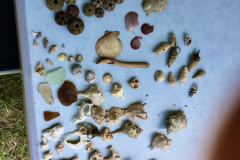 5142ECCD-CB25-4449-A0C1-0C849A28FE5C2018-07-08-14.42.16