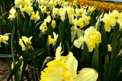 5FA0CF92-C821-4BB1-B7B4-EBF7D9C013C72017-04-13-19.47.07