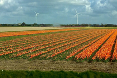 C33A4D6F-9DD4-4613-B2F2-076B000903402017-04-13-17.03.14